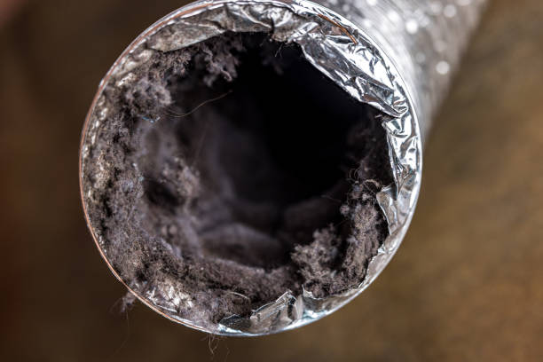 Best Affordable Duct Cleaning Services  in Morton, WA